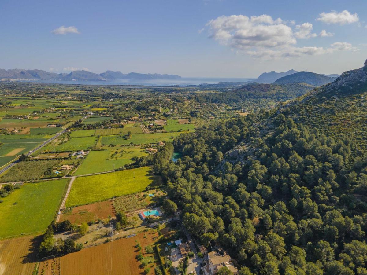 Prim * Alcúdia